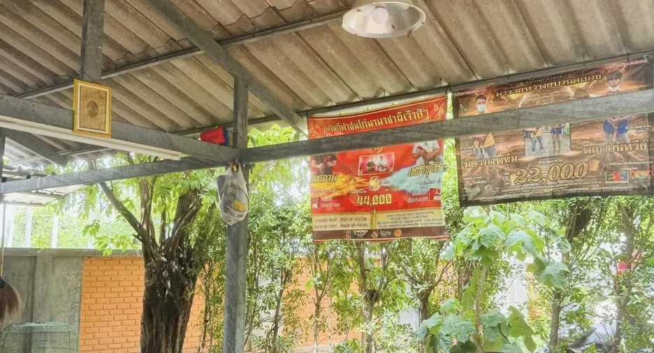 出售 土地 在 Mueang Nakhon Ratchasima, Nakhon Ratchasima