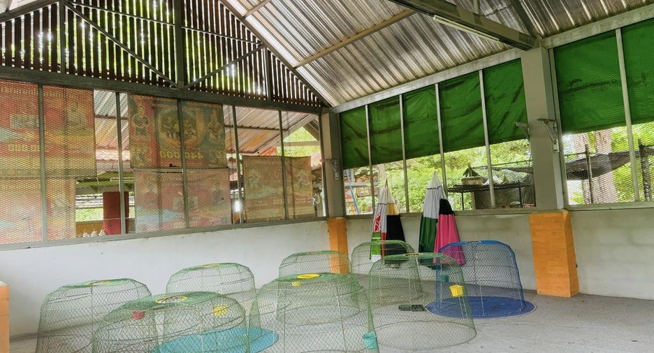 出售 土地 在 Mueang Nakhon Ratchasima, Nakhon Ratchasima