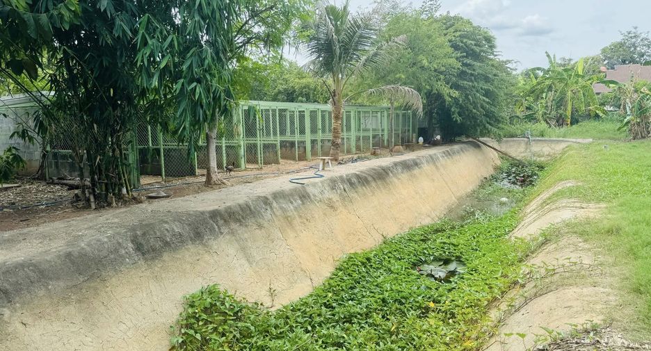 出售 土地 在 Mueang Nakhon Ratchasima, Nakhon Ratchasima