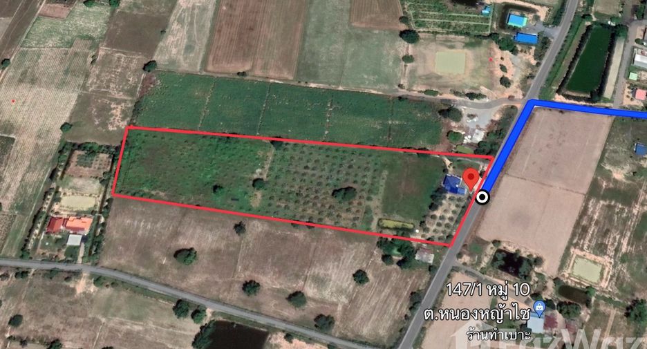 For sale land in Nong Ya Sai, Suphan Buri