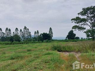 出售 土地 在 Hankha, Chai Nat