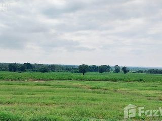 出售 土地 在 Hankha, Chai Nat
