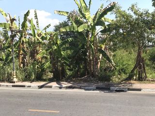 出售 土地 在 Ban Khai, Rayong