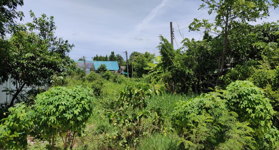 Grundstück zum Kauf in Nakhon Chai Si, Nakhon Pathom