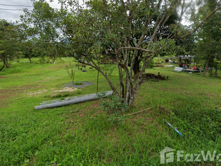 ขาย ที่ดิน ใน ปากพลี, นครนายก