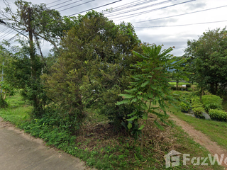 ขาย ที่ดิน ใน ปากพลี, นครนายก