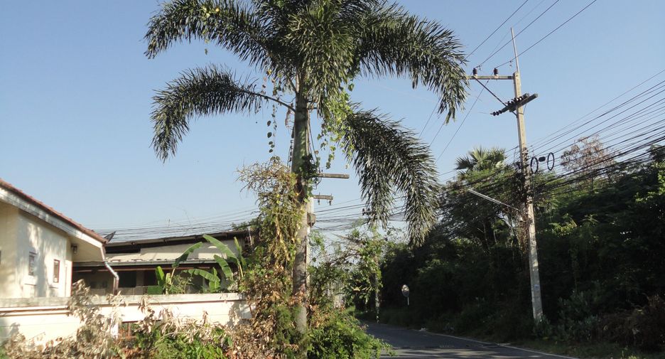 À vendre terrain à Mueang Nakhon Ratchasima, Nakhon Ratchasima