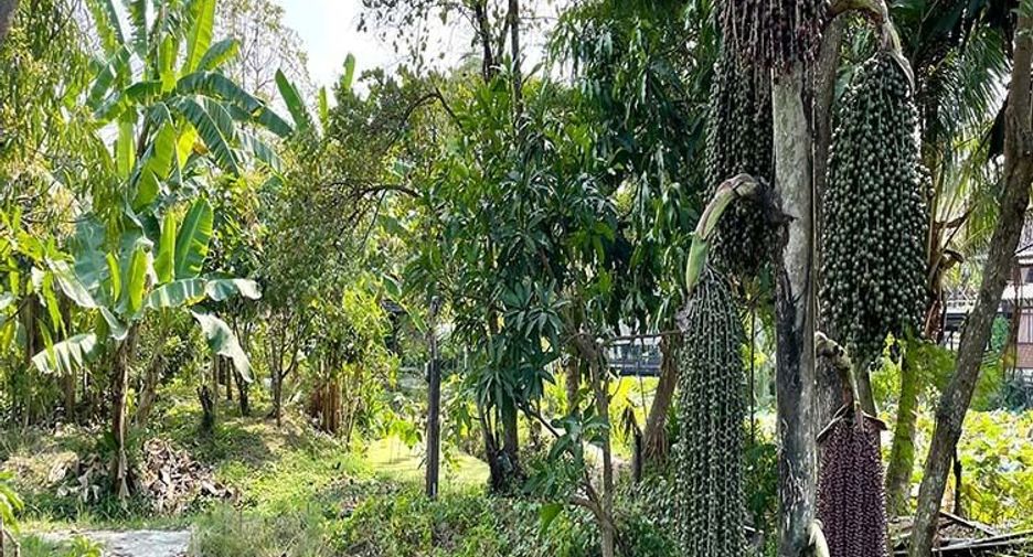 Terreno en venta en Bang Yai, Nonthaburi