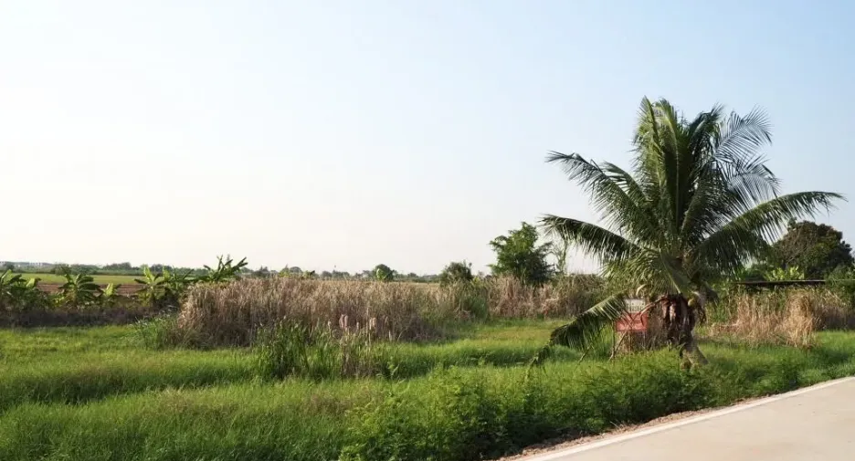 For sale land in Mueang Pathum Thani, Pathum Thani
