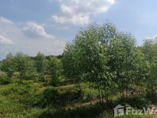 For sale land in Si Maha Phot, Prachin Buri