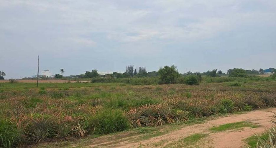 For sale land in Pluak Daeng, Rayong