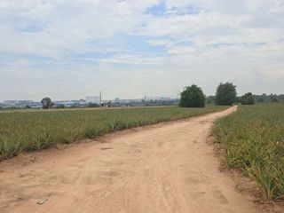 出售 土地 在 Pluak Daeng, Rayong