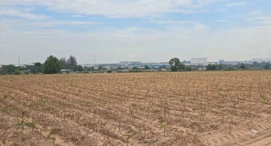 For sale land in Pluak Daeng, Rayong