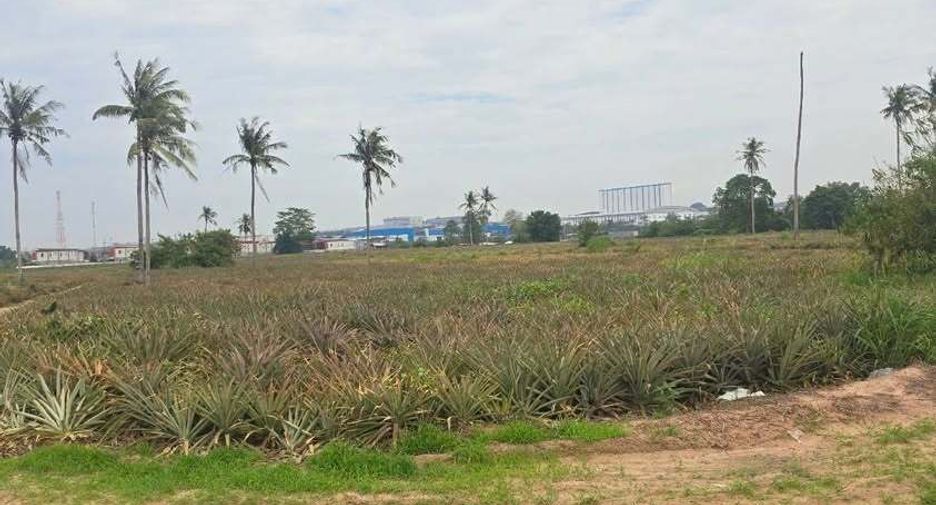 For sale land in Pluak Daeng, Rayong