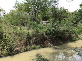 For sale land in Sam Khok, Pathum Thani