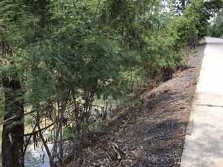 For sale land in Sam Khok, Pathum Thani