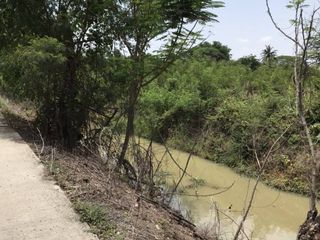 For sale land in Sam Khok, Pathum Thani