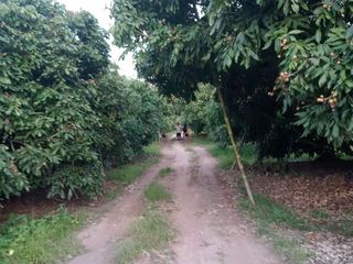 Продажа Участок в Phrao, Чианг Маи