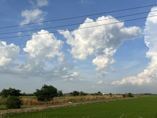Grundstück zum Kauf in Sai Noi, Nonthaburi