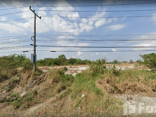 À vendre terrain à Phan Thong, Chonburi