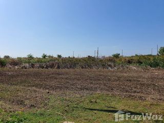 For sale land in Kamphaeng Saen, Nakhon Pathom