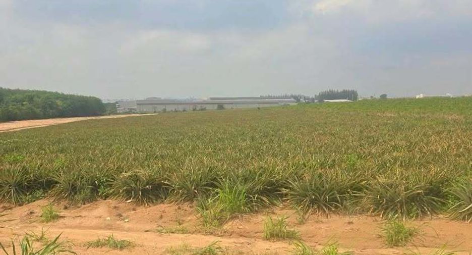 For sale land in Pluak Daeng, Rayong