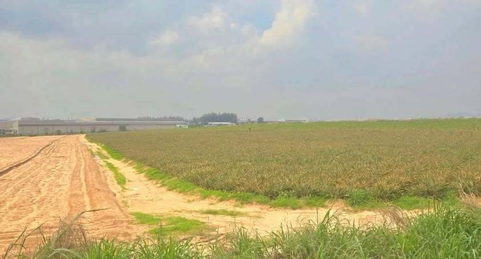For sale land in Pluak Daeng, Rayong