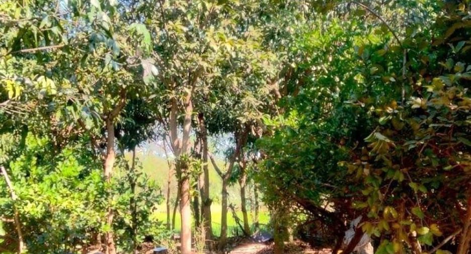 For sale 2 bedrooms house in Sai Noi, Nonthaburi