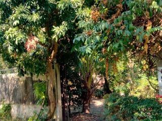 For sale 2 bedrooms house in Sai Noi, Nonthaburi