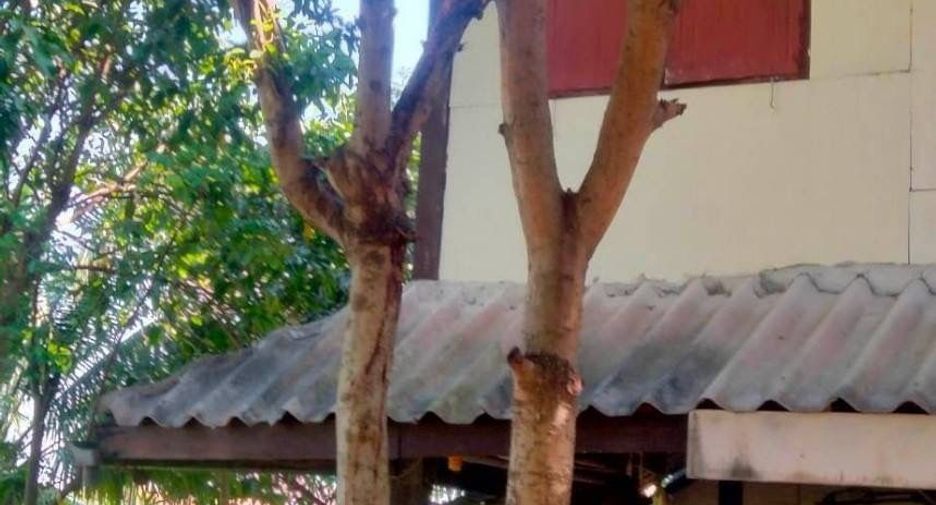 For sale 2 bedrooms house in Sai Noi, Nonthaburi