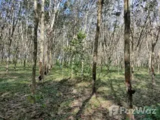 Grundstück zum Kauf in Bang Klam, Songkhla