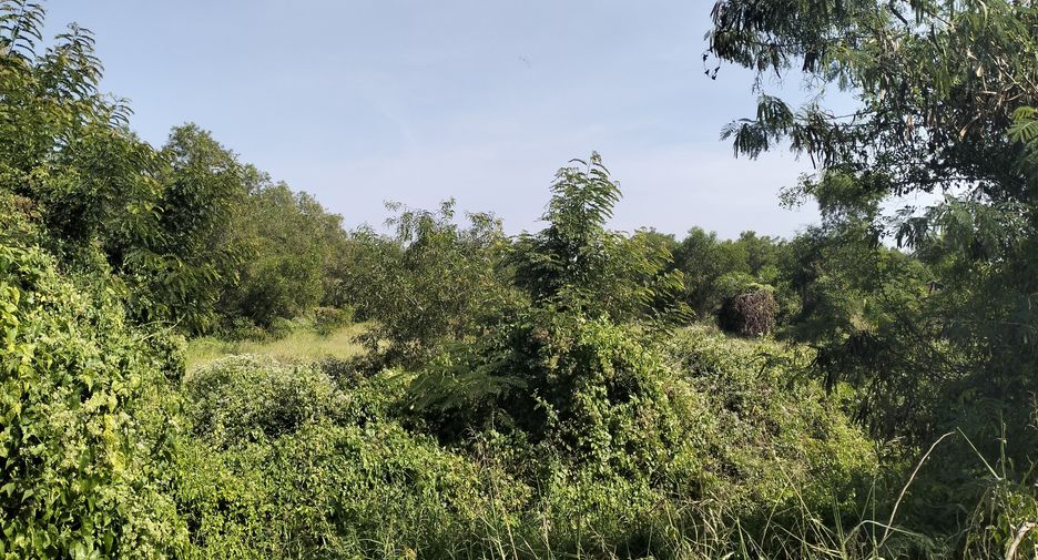For sale land in Ban Na, Nakhon Nayok