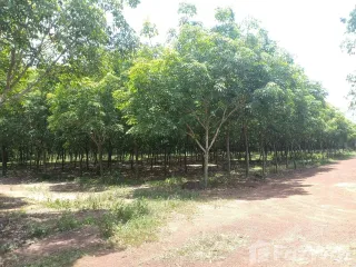 For sale land in Si Maha Phot, Prachin Buri