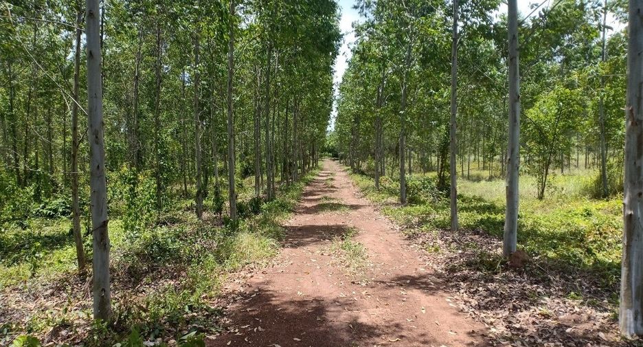 For sale land in Si Maha Phot, Prachin Buri