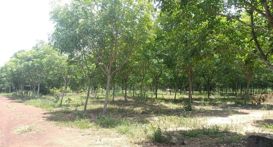 For sale land in Si Maha Phot, Prachin Buri