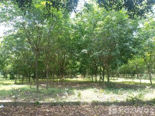 For sale land in Si Maha Phot, Prachin Buri