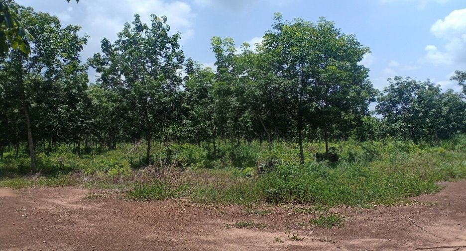 For sale land in Si Maha Phot, Prachin Buri