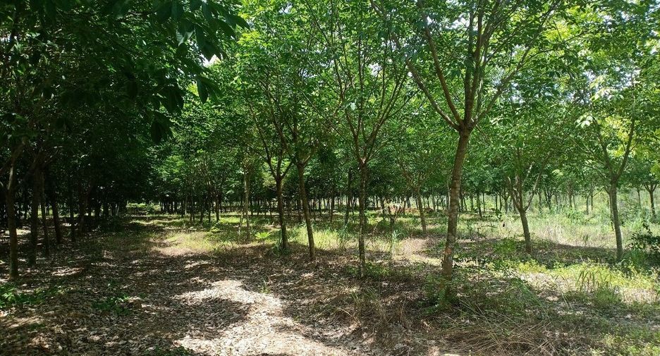 For sale land in Si Maha Phot, Prachin Buri