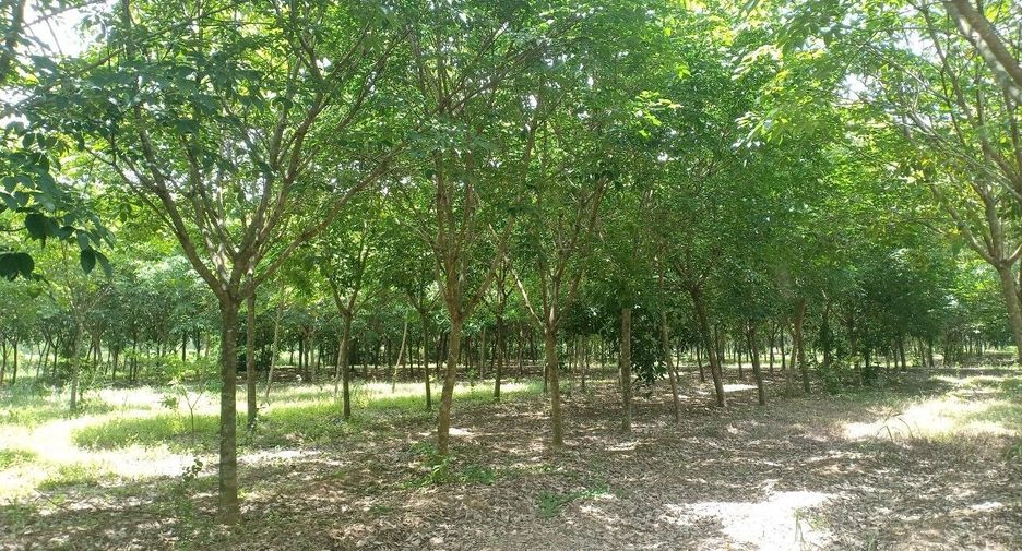 For sale land in Si Maha Phot, Prachin Buri