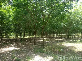 For sale land in Si Maha Phot, Prachin Buri