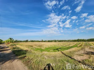 Grundstück zum Kauf in Bang Nam Priao, Chachoengsao