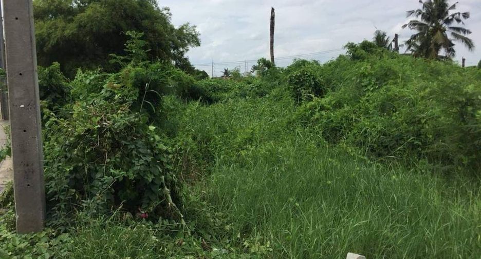 Terreno en venta en Sam Phran, Nakhon Pathom