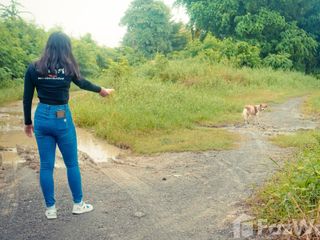 For sale land in Sam Phran, Nakhon Pathom