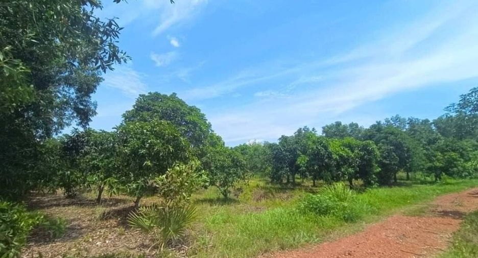 For sale land in Bang Khla, Chachoengsao
