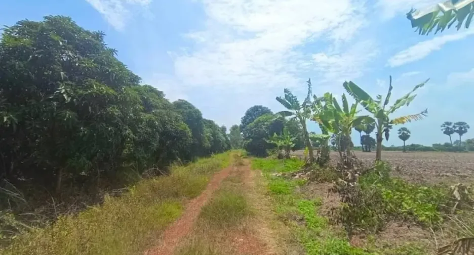 For sale land in Bang Khla, Chachoengsao