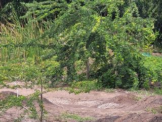 Terreno en venta en Nong Suea, Pathum Thani
