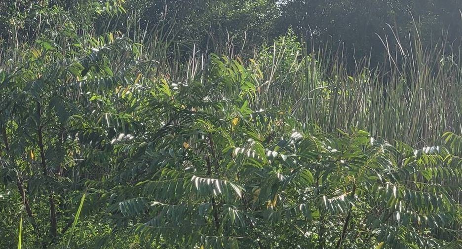 For sale land in Nong Suea, Pathum Thani