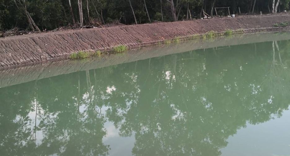 For sale land in Nong Suea, Pathum Thani