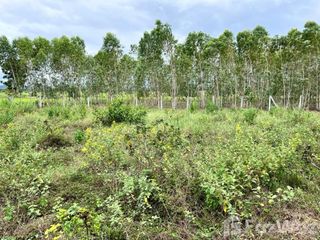Terreno en venta en Tha Muang, Kanchanaburi