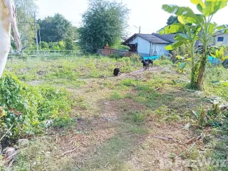 Grundstück zum Kauf in Mueang Pathum Thani, Pathum Thani